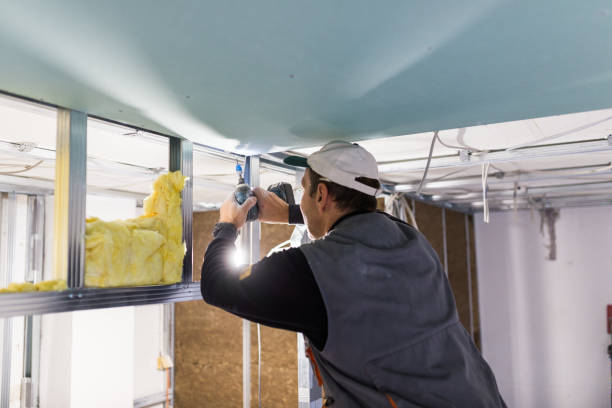 Best Insulation for Specific Applications in Mercedes, TX