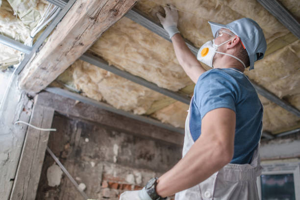 Best Insulation for Specific Applications in Mercedes, TX