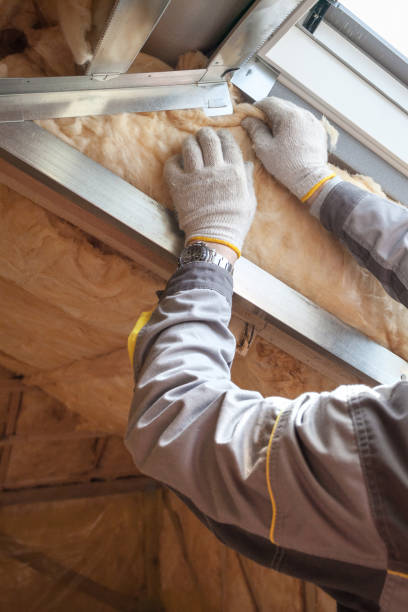 Best Insulation Installation Services in Mercedes, TX