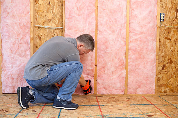 Mercedes, TX Insulation Contractor Pros