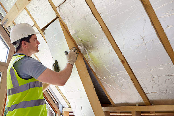 Best Residential Insulation in Mercedes, TX